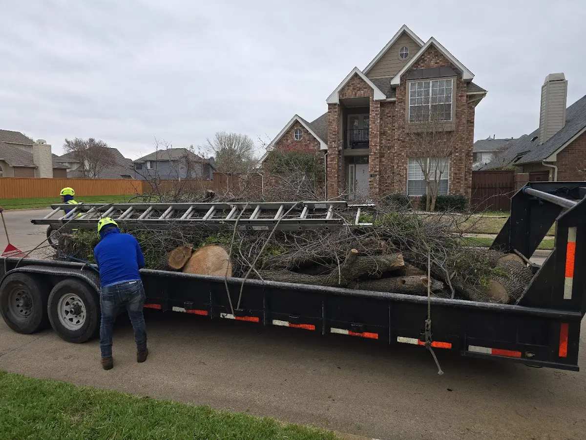 Expert Tree Removal with proper safety equipment in Pomeroy